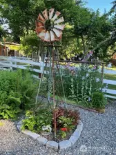 Garden photos from owner during summer