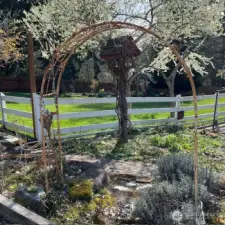 Garden photo from owner with view of fully enclosed, landscaped pasture