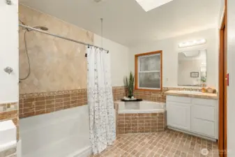 Lower primary soaking tub & walk in shower