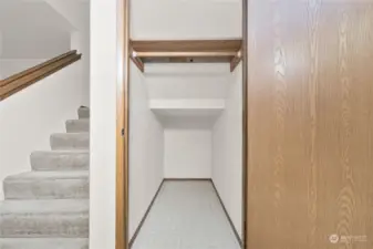 Stairs and large storage area underneath stairs.