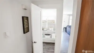 HUGE Walk in Pantry