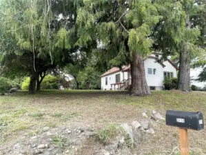 Large cedar and other evergreen trees grace the property.