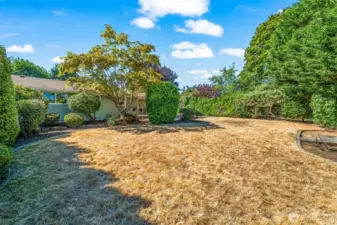Huge backyard