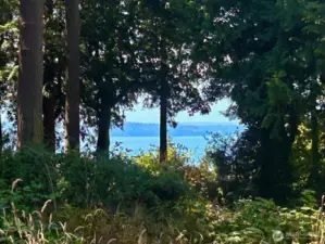 View from the property