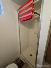 Basement Shower
