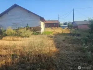 Back yard