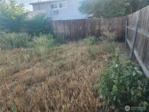 Back Yard