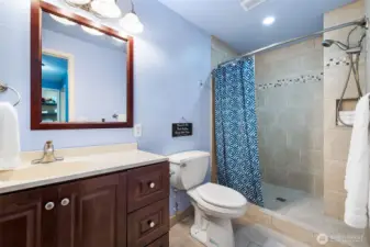 Downstairs bath with double shower heads