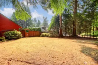 Huge side yard, plenty of room to enjoy