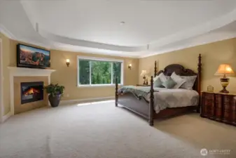 Master with fireplace, coved ceilings, multiple closets