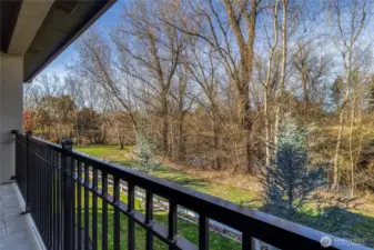 Pond/Greenbelt Views from Balcony