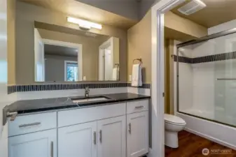 Lower Level Full Bathroom