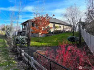 Backyard with Generous Setback