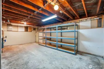 Basement - Perfect Future Wine Cellar!