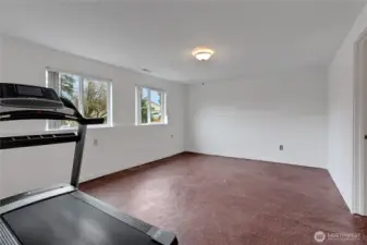 Large Family room down stairs