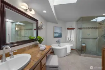 Spa-inspired primary bath with soaking tub, expansive steam shower, and skylight above.