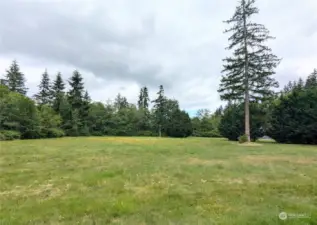 Back pasture goes beyond trees on back & side - buyer  to verify property lines
