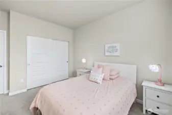Plush Carpet