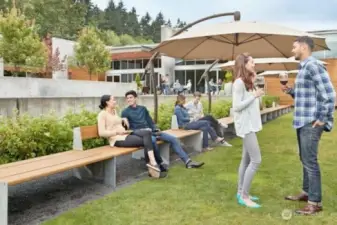 Woodinville Wineries & Restaurants