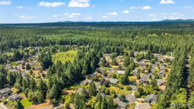 just across from miles and miles of walking or biking trails in the forest