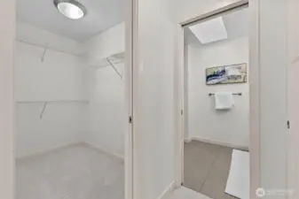 Master/primary closet #1