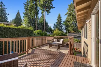 Sunny & private back deck and yard