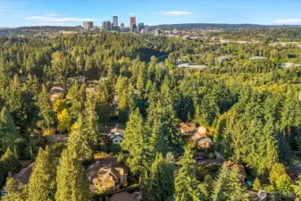 4 minutes (1.5 miles) to downtown Bellevue