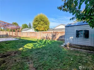 Garden shed or Playhouse?