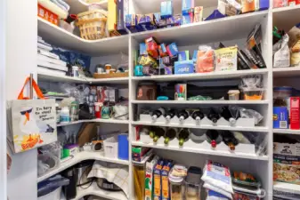 Huge walk-in pantry off butler's buffet.