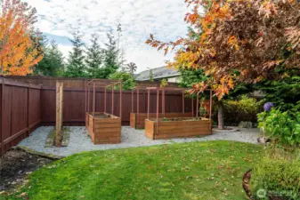 Custom raised beds that are waist high for easy gardening. Fenced back yard.