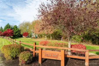 Neighborhood Park and walking trails.