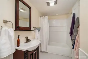 Lower Level Full Bathroom