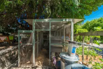 Current Owners raise chickens