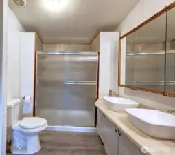Primary bathroom