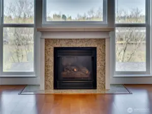 Fireplace Gas