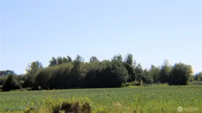 the territorial views are amazing, such a peaceful setting