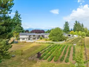 Stunning country estate with daylight rambler, attached studio apartment, barn-style pole building for weddings/events and flower/hobby farm!