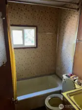 Shower tub combo