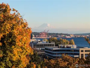 Idyllic Mount Rainier views are a main stay at Harbor House.