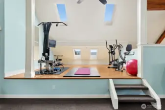 Fabulous home gym! Look how spacious it is with all this full sized exercise equipment! Plenty of natural light and lovely mountain views out the skylights!