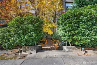 Lovely greenery at entry