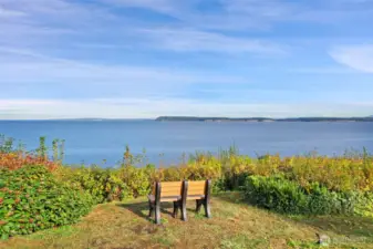 Neighborhood look out