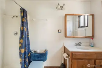 Bonus Room 3/4 Bathroom.