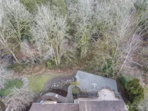 Rear garden with creek behind & Old growth forest.