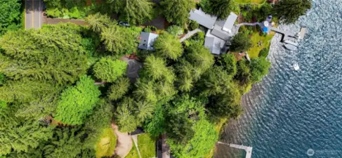 Lakeside is surrounded by trees, yet is bright & sunny.