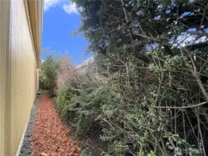 Unit B side door private path to back patio area.