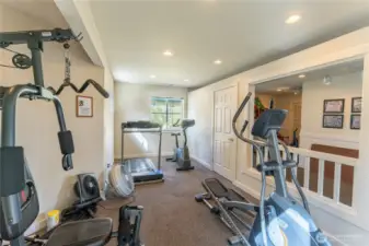 Gym View