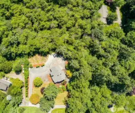 Great shot from drone capturing how lush this property is all year!
