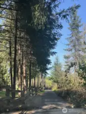 property line, neighbor access road.