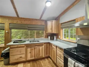 Ample kitchen space with lots of windows let the light in